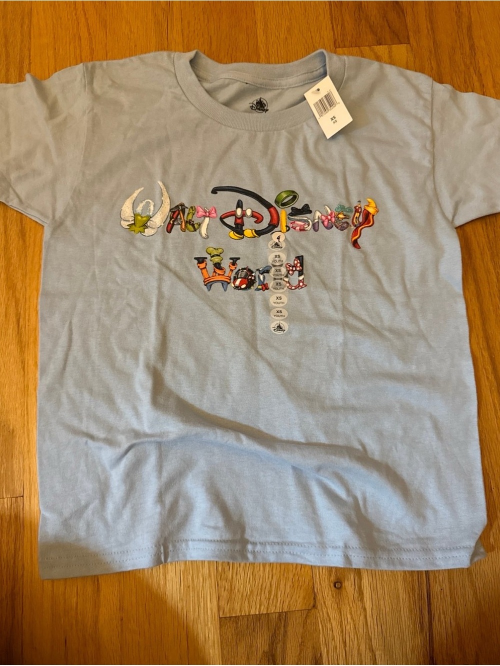 Disney parks youth shirt